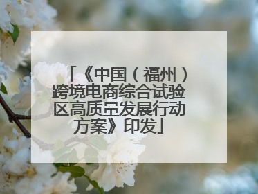 《中国（福州）跨境电商综合试验区高质量发展行动方案》印发