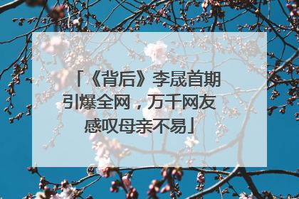 《背后》李晟首期引爆全网，万千网友感叹母亲不易