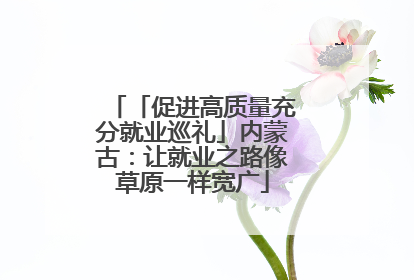 「促进高质量充分就业巡礼」内蒙古：让就业之路像草原一样宽广