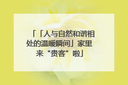 「人与自然和谐相处的温暖瞬间」家里来“贵客”啦