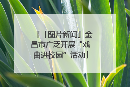 「图片新闻」金昌市广泛开展“戏曲进校园”活动