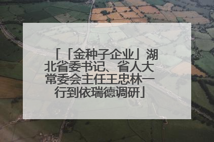 「金种子企业」湖北省委书记、省人大常委会主任王忠林一行到依瑞德调研