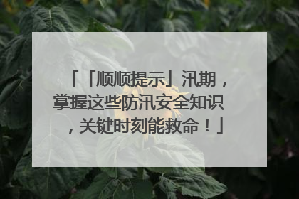 「顺顺提示」汛期，掌握这些防汛安全知识，关键时刻能救命！