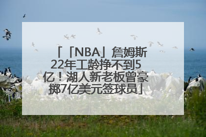 「NBA」詹姆斯22年工龄挣不到5亿！湖人新老板曾豪掷7亿美元签球员
