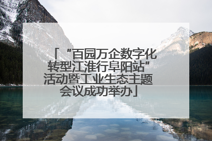 “百园万企数字化转型江淮行阜阳站”活动暨工业生态主题会议成功举办