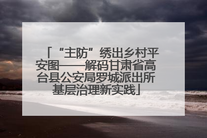 “主防”绣出乡村平安图——解码甘肃省高台县公安局罗城派出所基层治理新实践