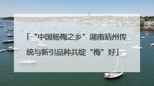 “中国杨梅之乡”湖南靖州传统与新引品种共绽“梅”好