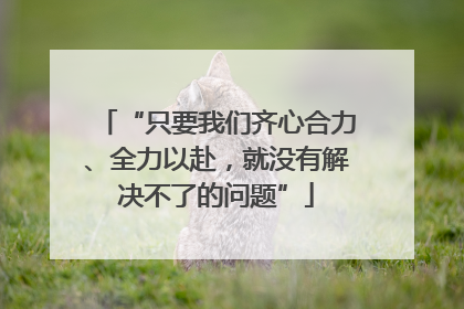 “只要我们齐心合力、全力以赴，就没有解决不了的问题”