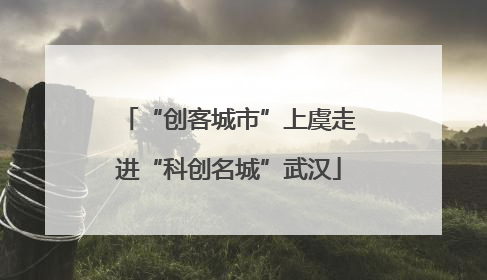 “创客城市”上虞走进“科创名城”武汉