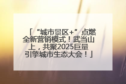 “城市景区+”点燃全新营销模式！武当山上，共聚2025巨量引擎城市生态大会！