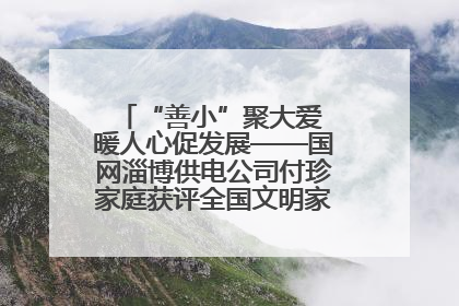 “善小”聚大爱 暖人心促发展——国网淄博供电公司付珍家庭获评全国文明家庭背后的文明密码