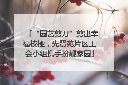“园艺剪刀”剪出幸福枝桠，先贤苑片区工会小组携手扮靓家园