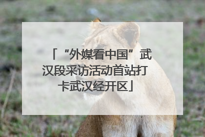 “外媒看中国”武汉段采访活动首站打卡武汉经开区