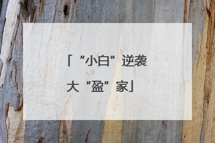 “小白”逆袭大“盈”家