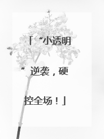 “小透明”逆袭，硬控全场！
