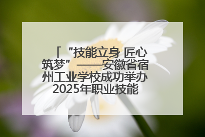 “技能立身 匠心筑梦”——安徽省宿州工业学校成功举办2025年职业技能活动周各项活动