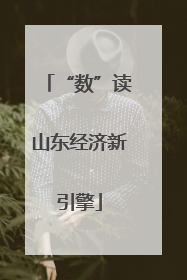 “数”读山东经济新引擎