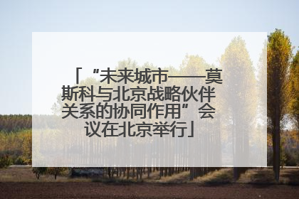 “未来城市——莫斯科与北京战略伙伴关系的协同作用”会议在北京举行