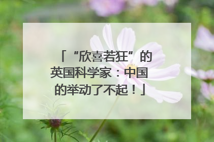 “欣喜若狂”的英国科学家：中国的举动了不起！