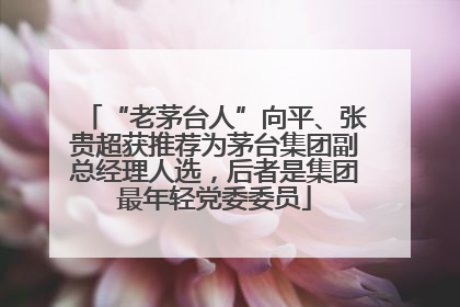 “老茅台人”向平、张贵超获推荐为茅台集团副总经理人选，后者是集团最年轻党委委员