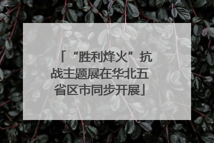 “胜利烽火”抗战主题展在华北五省区市同步开展