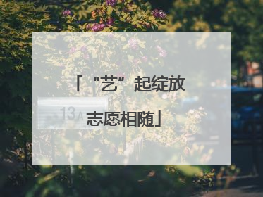 “艺”起绽放 志愿相随