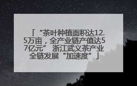 “茶叶种植面积达12.5万亩，全产业链产值达57亿元” 浙江武义茶产业全链发展“加速度”