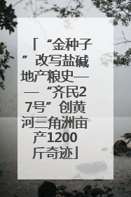 “金种子”改写盐碱地产粮史——“齐民27号”创黄河三角洲亩产1200斤奇迹