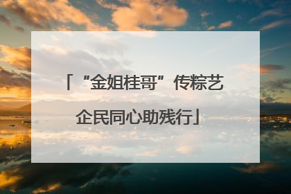 “金姐桂哥”传粽艺 企民同心助残行