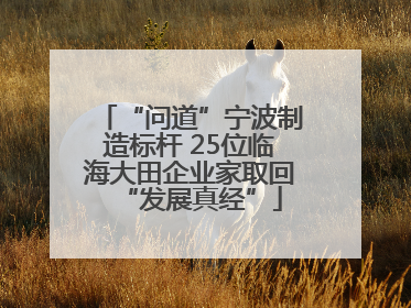 “问道”宁波制造标杆 25位临海大田企业家取回“发展真经”
