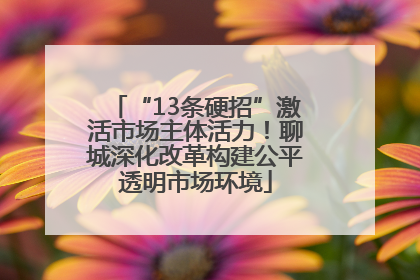 “13条硬招”激活市场主体活力！聊城深化改革构建公平透明市场环境