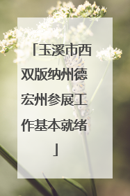 玉溪市西双版纳州德宏州参展工作基本就绪