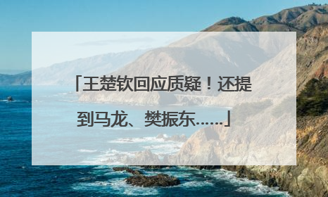 王楚钦回应质疑！还提到马龙、樊振东……