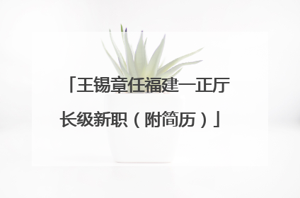 王锡章任福建一正厅长级新职（附简历）