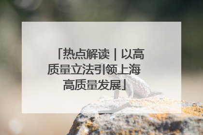 热点解读｜以高质量立法引领上海高质量发展