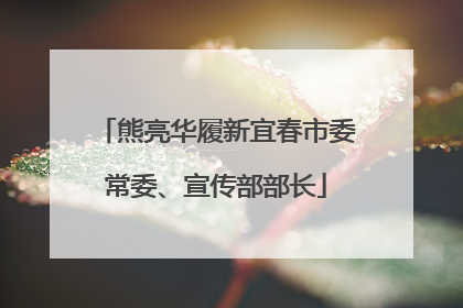 熊亮华履新宜春市委常委、宣传部部长