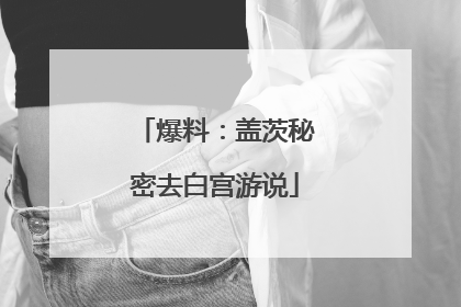 爆料：盖茨秘密去白宫游说