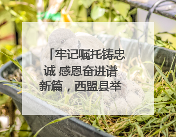 牢记嘱托铸忠诚 感恩奋进谱新篇，西盟县举行庆祝中国共产党成立104周年文艺晚会