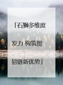 石狮多维度发力 构筑贸易链新优势