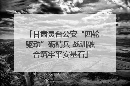 甘肃灵台公安“四轮驱动”砺精兵 战训融合筑牢平安基石