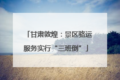 甘肃敦煌：景区骆运服务实行“三班倒”