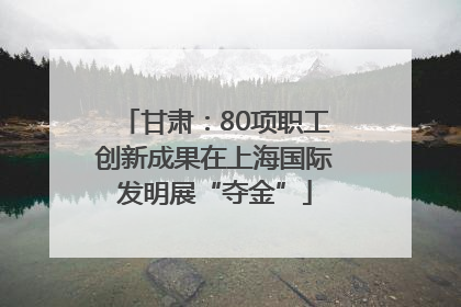 甘肃：80项职工创新成果在上海国际发明展“夺金”
