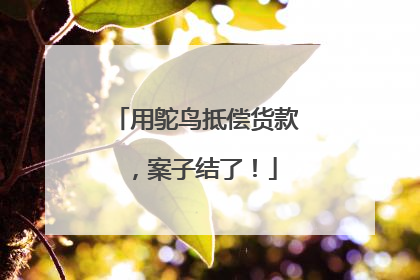 用鸵鸟抵偿货款，案子结了！