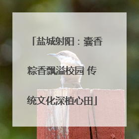 盐城射阳：囊香粽香飘溢校园 传统文化深植心田