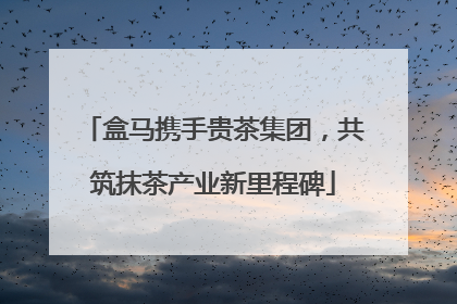 盒马携手贵茶集团，共筑抹茶产业新里程碑