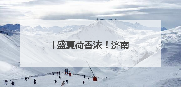 盛夏荷香浓！济南大明湖荷花率先开启“颜值暴击”