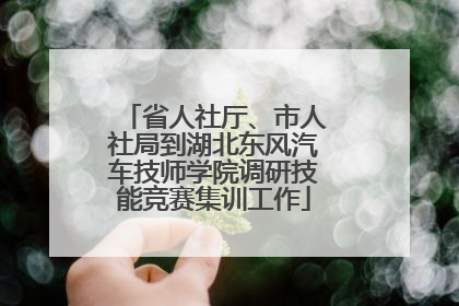 省人社厅、市人社局到湖北东风汽车技师学院调研技能竞赛集训工作