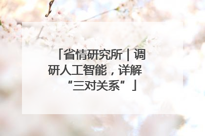 省情研究所｜调研人工智能，详解“三对关系”