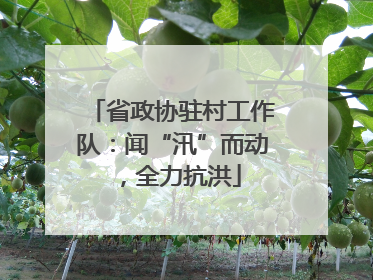 省政协驻村工作队：闻“汛”而动，全力抗洪