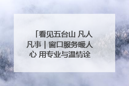 看见五台山 凡人凡事｜窗口服务暖人心 用专业与温情诠释责任担当